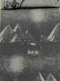 A-1728 Jacquard Di Jeans[Tessile / Tessuto] ARINOBE Sottofoto