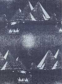 A-1728 Jacquard Di Jeans[Tessile / Tessuto] ARINOBE Sottofoto