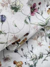 DP-5000-1 60 Lawn Digital Print Botanical[Tessile / Tessuto] HOKKOH Sottofoto