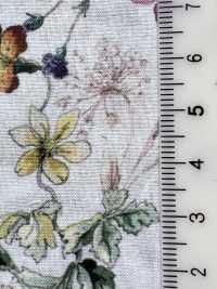 DP-5000-1 60 Lawn Digital Print Botanical[Tessile / Tessuto] HOKKOH Sottofoto