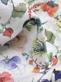 DP-5000-3 60 Fiori Ad Acquerello Stampati Digitalmente Su Prato[Tessile / Tessuto] HOKKOH Sottofoto