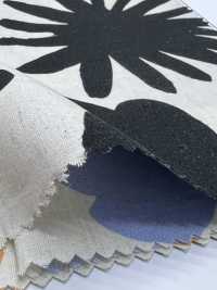 7026-720-1 CL Broadcloth Angel Soft Daihana[Tessile / Tessuto] HOKKOH Sottofoto