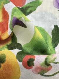 8026-590-2 80 Frutta In Voile Di Chiffon[Tessile / Tessuto] HOKKOH Sottofoto
