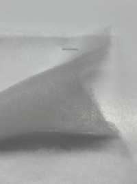 KWX30 [Interfodera] Sottofoto