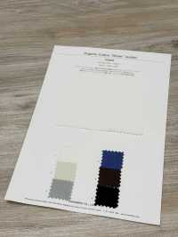 1SG036 Seersucker Di Cotone Biologico[Tessile / Tessuto] Cambrai Foto secondaria