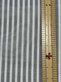 KCP326-W-DH-714 T/C Sheer Voile Cut Shaguard[Tessile / Tessuto] Uni Textile(Komon Studio) Sottofoto