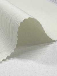 11560 ~REN~ Cotone Biologico X Nylon Riciclato Ripstop[Tessile / Tessuto] SUNWELL Foto secondaria