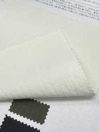 11560 ~REN~ Cotone Biologico X Nylon Riciclato Ripstop[Tessile / Tessuto] SUNWELL Foto secondaria