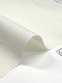 11554 REN 50 Telo Elasticizzato In Cotone/nylon A Filo Singolo[Tessile / Tessuto] SUNWELL Foto secondaria