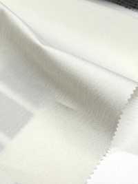 11554 REN 50 Telo Elasticizzato In Cotone/nylon A Filo Singolo[Tessile / Tessuto] SUNWELL Foto secondaria