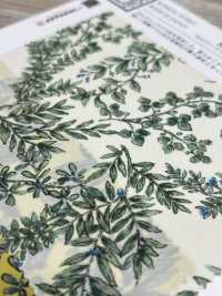 KKP3600-58-DBK-101W Nuova Venere Ampia Ampia Larghezza[Tessile / Tessuto] Uni Textile(Komon Studio) Foto secondaria