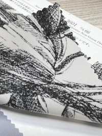 KKP3601-D66 Nuova Venere Deshin[Tessile / Tessuto] Uni Textile(Komon Studio) Foto secondaria