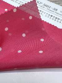 KKP5601-58-DSB-119 Prato Filato Ad Ampia Larghezza[Tessile / Tessuto] Uni Textile(Komon Studio) Foto secondaria