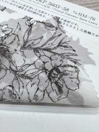 KKP5603-58-DHM-76 Prato Filato Ad Ampia Larghezza[Tessile / Tessuto] Uni Textile(Komon Studio) Foto secondaria