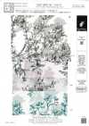 KKP5603-58-DHM-76 Batista filata a larghezza ampia