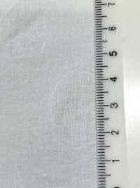 28119 Tessuto Per Prato Con Stampa Termoretraibile A 80 Fili, Motivo A Pois[Tessile / Tessuto] SUNWELL Foto secondaria