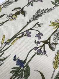 3026-1770-1 Velluto A Coste 21W[Tessile / Tessuto] HOKKOH Foto secondaria