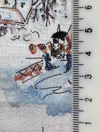 8026-1560-3 30 Viyella Angel Soft Nordic Landscape Pattern[Tessile / Tessuto] HOKKOH Foto secondaria