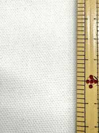 INDIA-2154 ANATRA INDIANA[Tessile / Tessuto] ARINOBE Foto secondaria