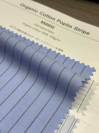 5SG032 Righe In Popeline Di Cotone Biologico[Tessile / Tessuto] Cambrai Foto secondaria