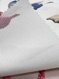 KDP8712-58-DD-563 Stampa A Getto D'inchiostro In Grosgrain Opaco Di Ampia Larghezza[Tessile / Tessuto] Uni Textile(Komon Studio) Foto secondaria