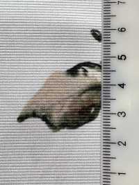 KDP8712-58-DD-563 Stampa A Getto D'inchiostro In Grosgrain Opaco Di Ampia Larghezza[Tessile / Tessuto] Uni Textile(Komon Studio) Foto secondaria