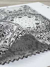 7026-1600-6 Pizzo 80/240[Tessile / Tessuto] HOKKOH Foto secondaria