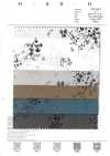 7026-1630-2 Tessuto Typewriter 60 Fiori sfumati