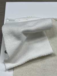 W-48377 Pile Vintage Champion II[Tessile / Tessuto] Minami Foto secondaria