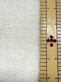 OS40CC 1/40 Garza Di Lino CC Elaborazione[Tessile / Tessuto] SHIBAYA Foto secondaria