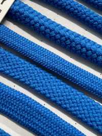 6AY Spago Per Sacchetti Flessibili 4,6 Mm[Cavo A Nastro] Cordon Foto secondaria