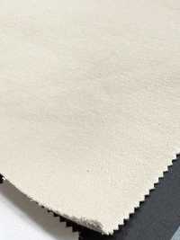 1078602 Pile Chewy Hyper Stretch (Modificato)[Tessile / Tessuto] TAKISADA NAGOYA Foto secondaria