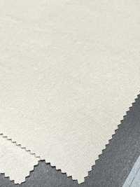 1099582 Nylon Vintage[Tessile / Tessuto] TAKISADA NAGOYA Foto secondaria