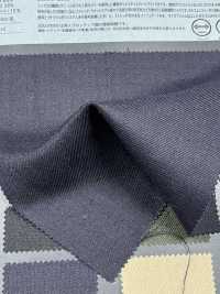 1026520 CHORUS Ramie X SOLOTEX® Twill Elasticizzato Leggero[Tessile / Tessuto] TAKISADA NAGOYA Foto secondaria