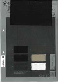 1026520 CHORUS Ramie X SOLOTEX® Twill Elasticizzato Leggero[Tessile / Tessuto] TAKISADA NAGOYA Foto secondaria