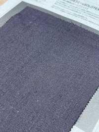 1026520 CHORUS Ramie X SOLOTEX® Twill Elasticizzato Leggero[Tessile / Tessuto] TAKISADA NAGOYA Foto secondaria