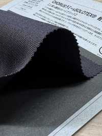 1026520 CHORUS Ramie X SOLOTEX® Twill Elasticizzato Leggero[Tessile / Tessuto] TAKISADA NAGOYA Foto secondaria