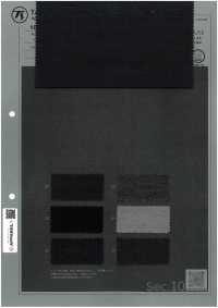 1071511 Maglia TWILL Strong Twist[Tessile / Tessuto] TAKISADA NAGOYA Foto secondaria