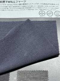 1071511 Maglia TWILL Strong Twist[Tessile / Tessuto] TAKISADA NAGOYA Foto secondaria