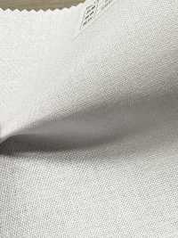 P1650N Nucleo In Cotone E Poliestere A Pois[Interfodera] Nessun Nome Foto secondaria