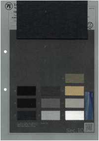 1038634 EVALET® Slub Butcher[Tessile / Tessuto] TAKISADA NAGOYA Foto secondaria