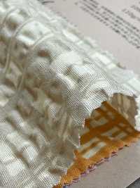 82168 Controllo Casuale Incrociato Ripple[Tessile / Tessuto] VANCET Foto secondaria