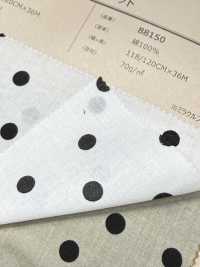 88150 Filato Da 80 Fili Lawn Random Polka Dot[Tessile / Tessuto] VANCET Foto secondaria