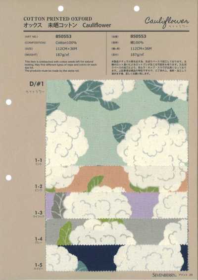 850553 Oxford Cotone non sbiancato Cavolfiore