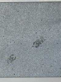 M-8912-PKK M-8912 Bordatura Scotchlite Pinking[Cavo A Nastro] MARCHIO STELLARE (Hoshika) Foto secondaria