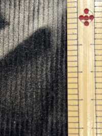 DCL115-SF 14W T/C Corduroy Decorore[Tessile / Tessuto] Kumoi Beauty Foto secondaria