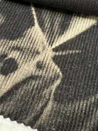 DCL755-SF 16W Velluto A Coste Decorato[Tessile / Tessuto] Kumoi Beauty Foto secondaria