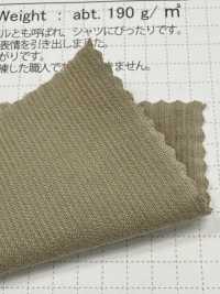 SBC4040 Camicia In Velluto A Coste 21W Con Finitura Lavabile A Secco[Tessile / Tessuto] SHIBAYA Foto secondaria