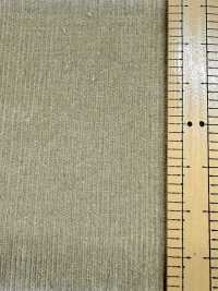 SBC4040 Camicia In Velluto A Coste 21W Con Finitura Lavabile A Secco[Tessile / Tessuto] SHIBAYA Foto secondaria