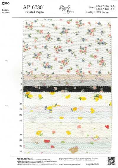 AP62801 Popeline Ripple Petit (rotolo)
